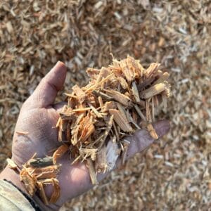 Playground chips
