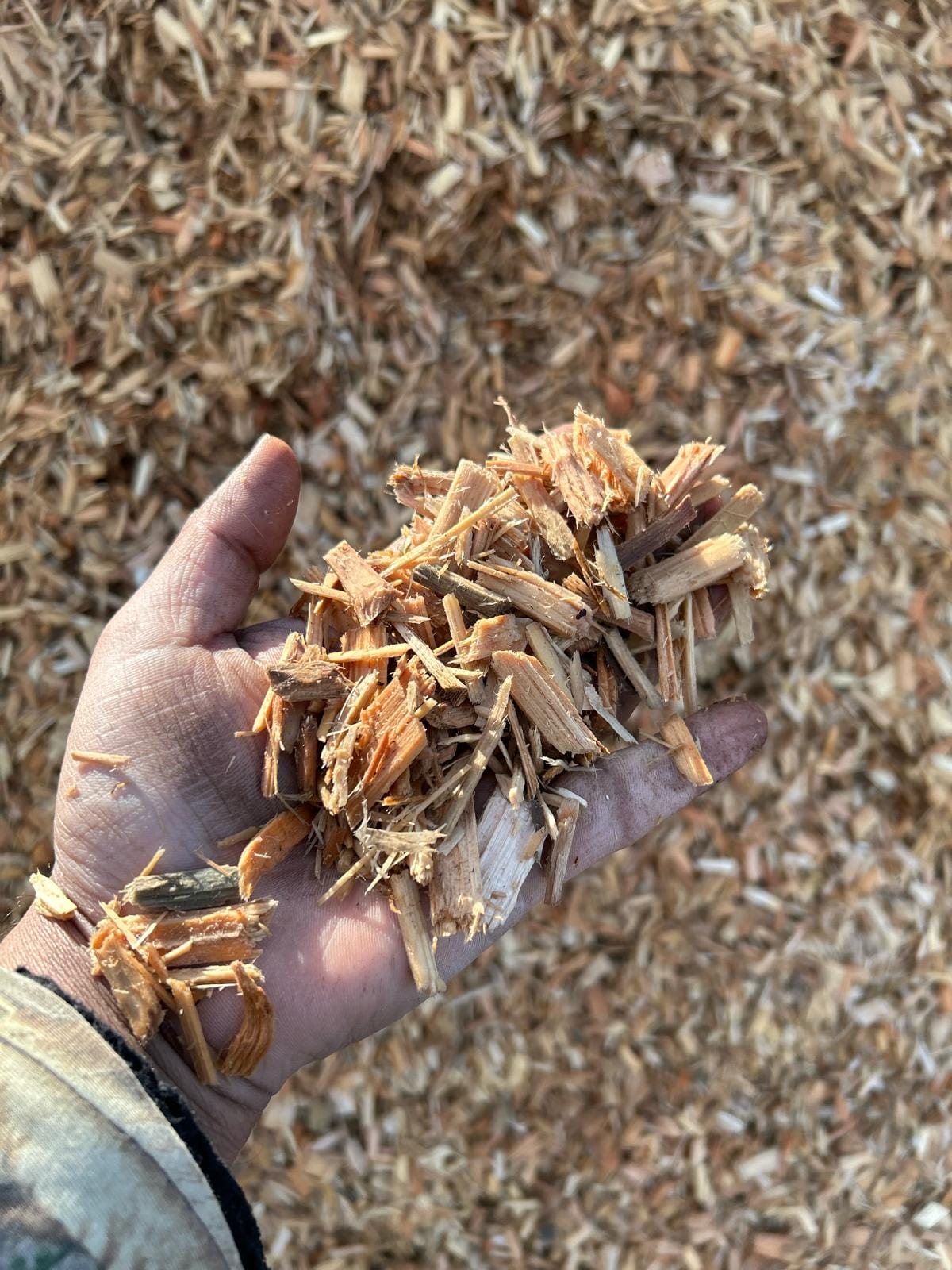 Playground chips