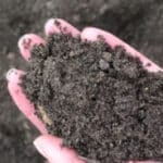 landscape services aged manure