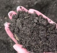 landscape services aged manure