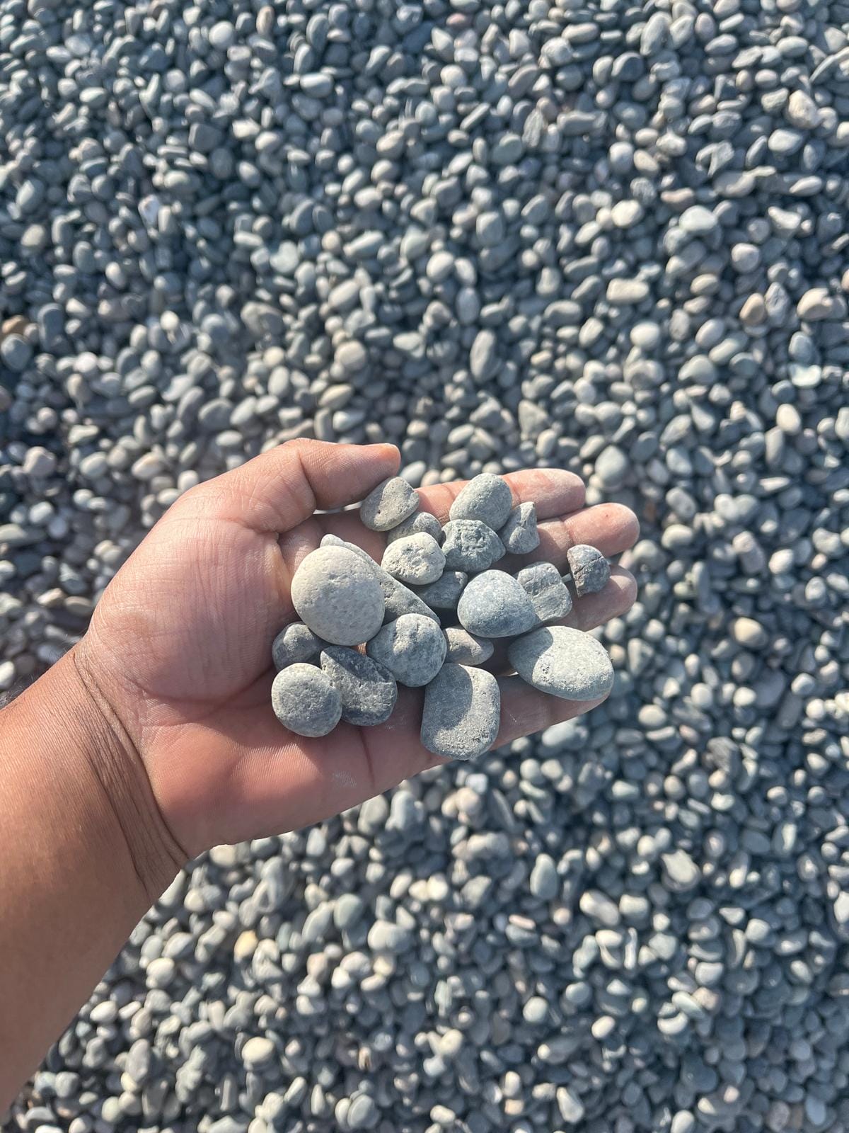 1-2 Round Rock - YARD